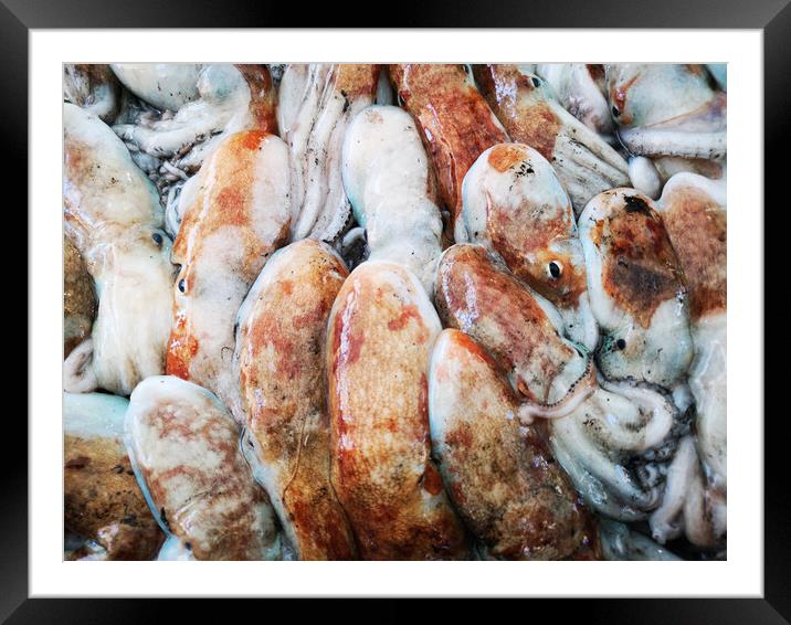 Cuttlefish in open seamarket Framed Mounted Print by Massimo Lama