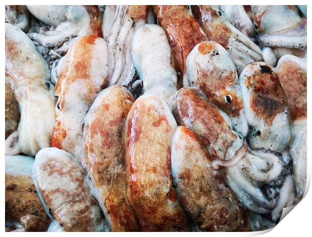 Cuttlefish in open seamarket Print by Massimo Lama