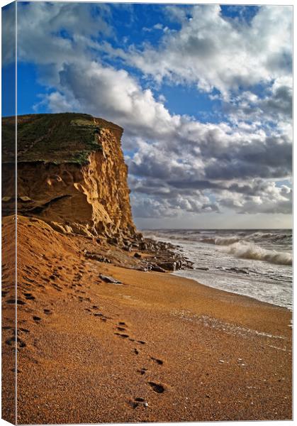 East Cliff at West Bay Canvas Print by Darren Galpin