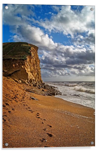 East Cliff at West Bay Acrylic by Darren Galpin