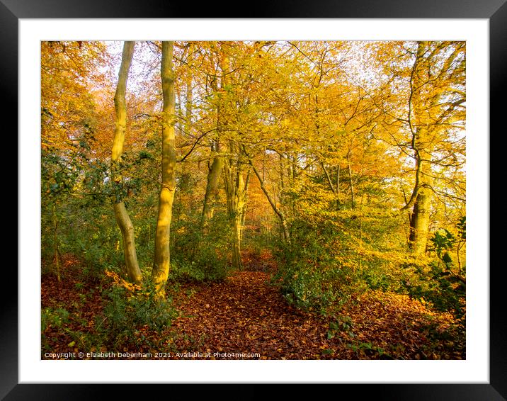 Woodland path in Autumn Framed Mounted Print by Elizabeth Debenham
