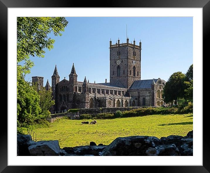 ST.David's Cathedral Framed Mounted Print by Rhodri Phillips
