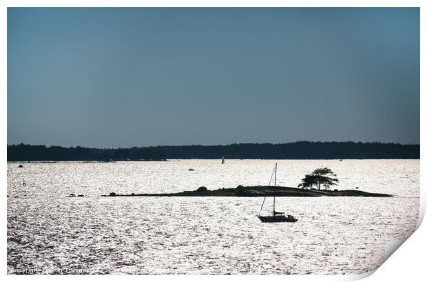 A Swedish Small Boat and Small Island Print by Ron Thomas