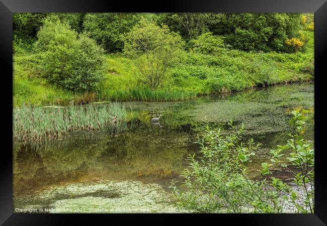 Clydach Upper Pond with a Heron Rhondda Fawr Framed Print by Nick Jenkins