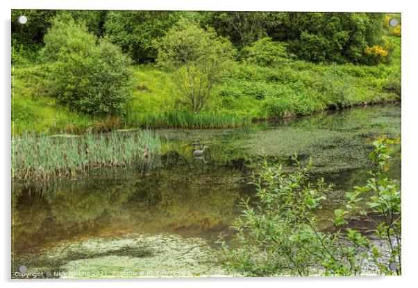 Clydach Upper Pond with a Heron Rhondda Fawr Acrylic by Nick Jenkins