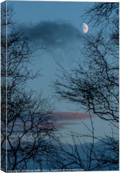 Half Moon At Blue Hour Canvas Print by Ronnie Reffin