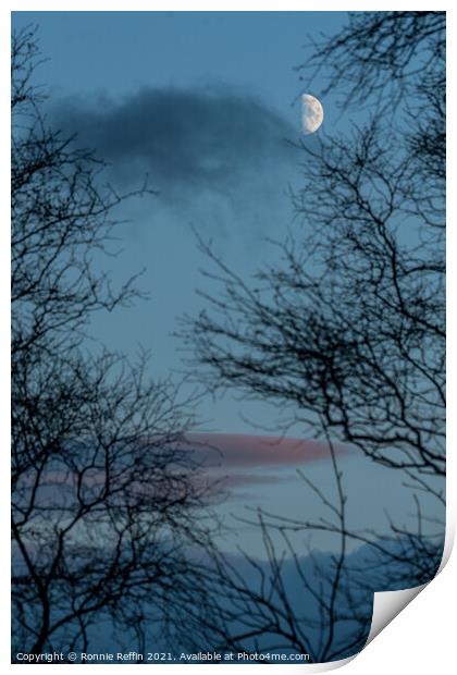 Half Moon At Blue Hour Print by Ronnie Reffin