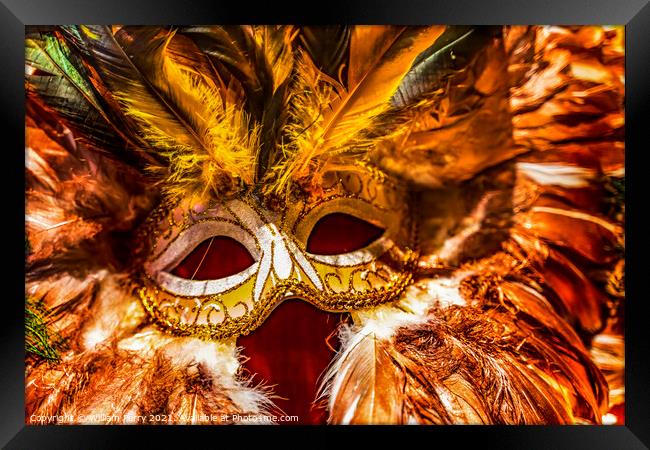 Colorful Orange Yellow Mask Feathers Mardi Gras New Orleans Loui Framed Print by William Perry