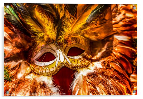 Colorful Orange Yellow Mask Feathers Mardi Gras New Orleans Loui Acrylic by William Perry