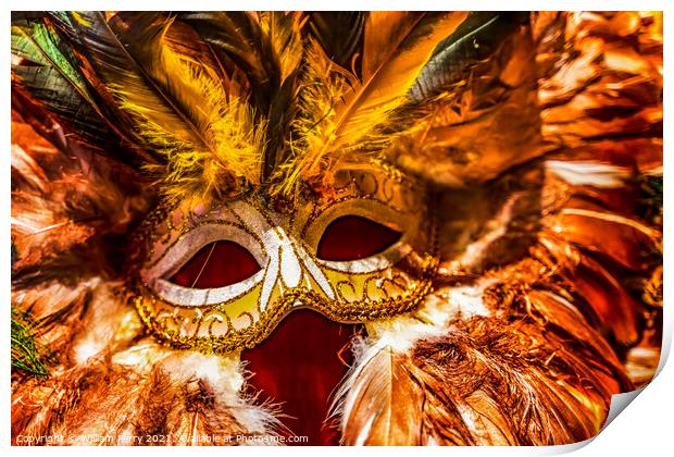 Colorful Orange Yellow Mask Feathers Mardi Gras New Orleans Loui Print by William Perry