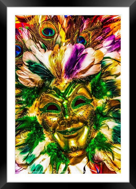 Colorful Green Gold Mask Feathers Mardi Gras New Orleans Louisia Framed Mounted Print by William Perry
