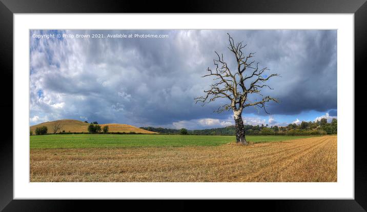 The Lonely Tree - Panorama 1 Framed Mounted Print by Philip Brown