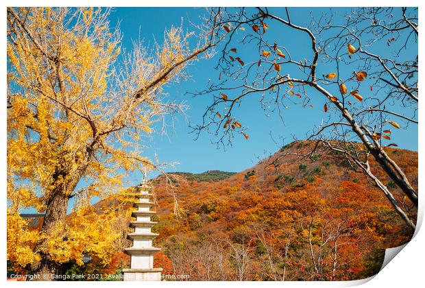 Korean old temple and autumn mountain Print by Sanga Park