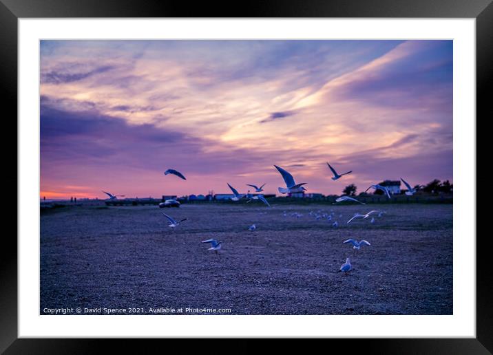 Come fly away with me  Framed Mounted Print by David Spence