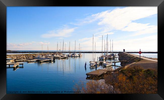 Little Marina Framed Print by Ann Biddlecombe