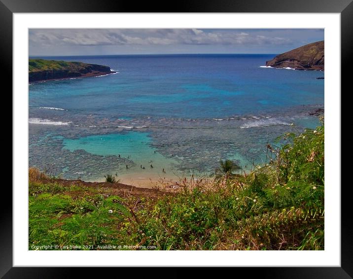 honolulu, hawaii Framed Mounted Print by carl blake
