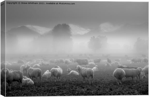 Sheep with a view. Canvas Print by Steve Whitham