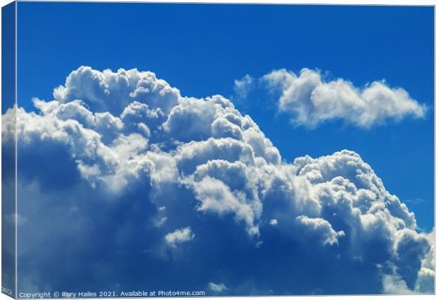 Fluffy cumulus cloud Canvas Print by Rory Hailes