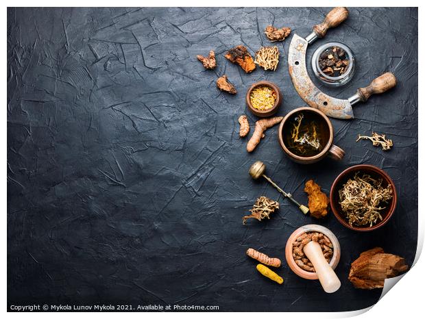 Tea and a set of medicinal herbs Print by Mykola Lunov Mykola