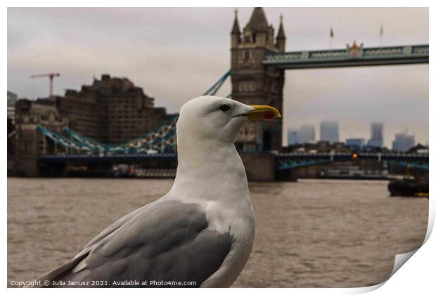 Seagull in London  Print by Julia Janusz