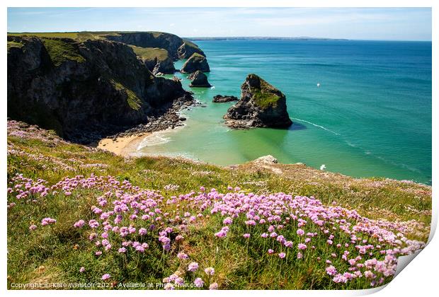 Pinks above Bedruthan Steps Print by Kate Whiston
