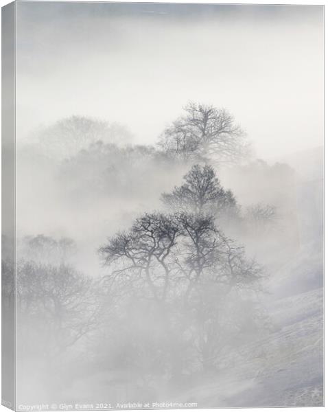 Winters morning. Canvas Print by Glyn Evans