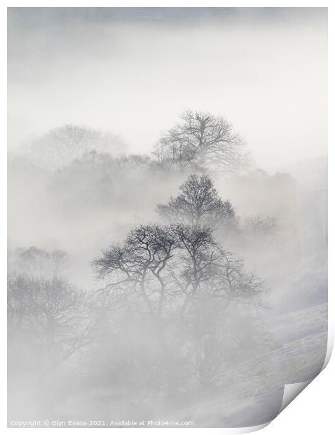 Winters morning. Print by Glyn Evans