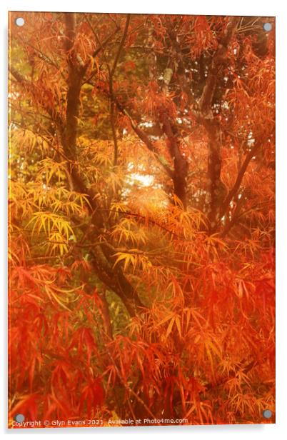 Autumn colours. Acrylic by Glyn Evans