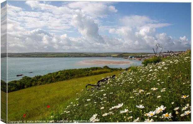 Wild Flowers above Padstow Canvas Print by Kate Whiston