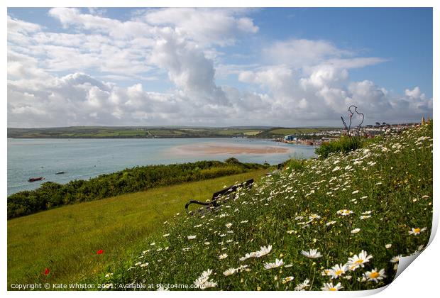 Wild Flowers above Padstow Print by Kate Whiston