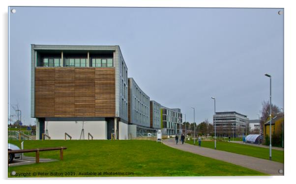 Anglia Ruskin University, Chelmsford, Essex, UK. Acrylic by Peter Bolton