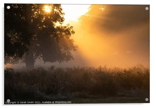 Misty Sunrise at Richmond Park Acrylic by Sarah Smith