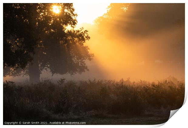 Misty Sunrise at Richmond Park Print by Sarah Smith