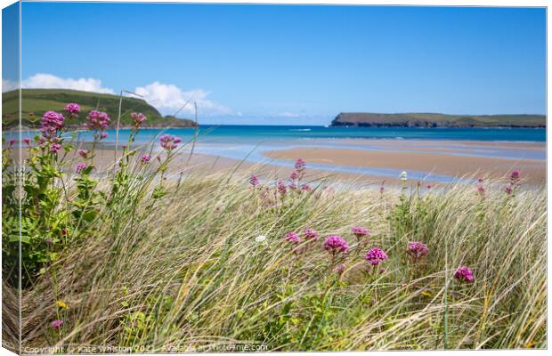 Padstow Pride In The Dunes Canvas Print by Kate Whiston
