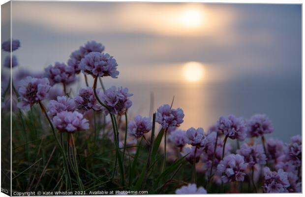 Seapinks at Sunset Canvas Print by Kate Whiston