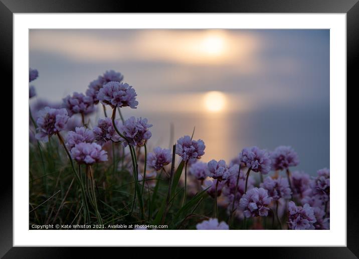 Seapinks at Sunset Framed Mounted Print by Kate Whiston