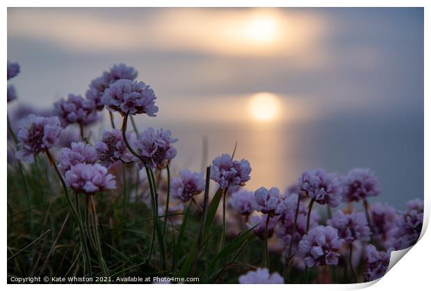 Seapinks at Sunset Print by Kate Whiston