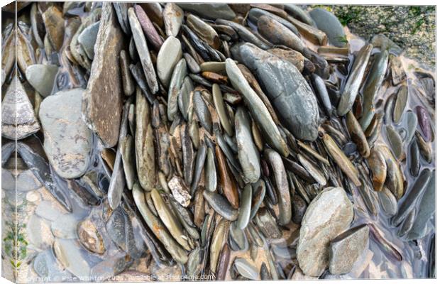 Rockpool pebbles Canvas Print by Kate Whiston