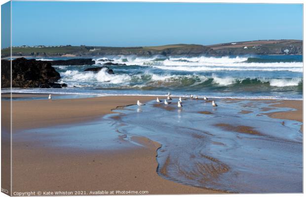 Seagulls waiting for the waves Canvas Print by Kate Whiston