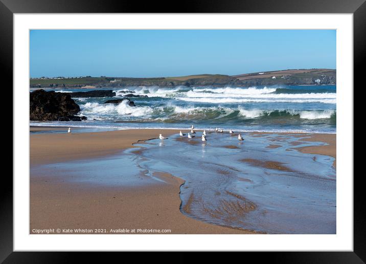 Seagulls waiting for the waves Framed Mounted Print by Kate Whiston
