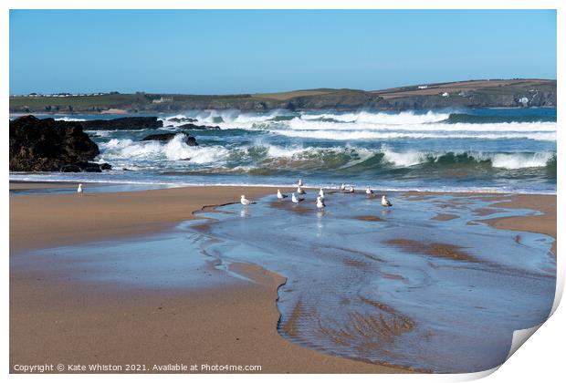 Seagulls waiting for the waves Print by Kate Whiston