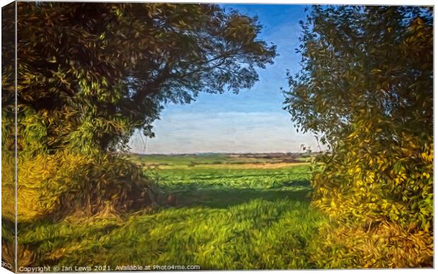 A Gap In The Hedgerow Canvas Print by Ian Lewis