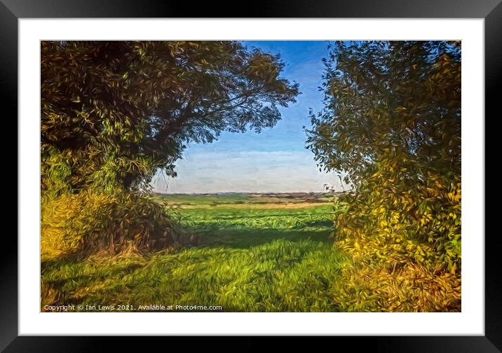 A Gap In The Hedgerow Framed Mounted Print by Ian Lewis