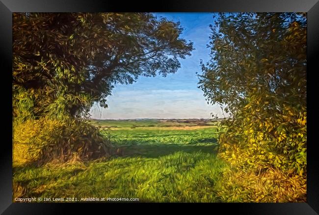 A Gap In The Hedgerow Framed Print by Ian Lewis