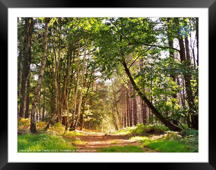 track thought the forest Framed Mounted Print by Nik Taylor