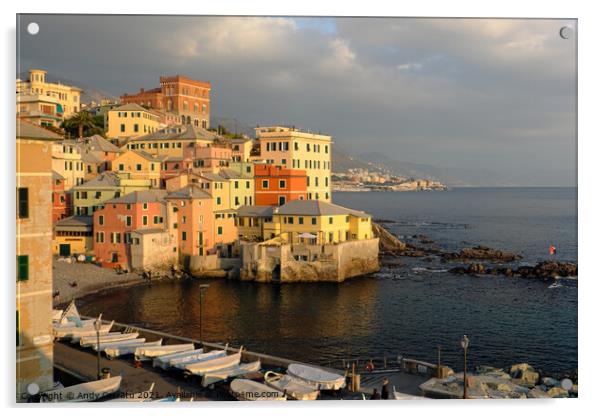 Port of Boccadasse marina in Genoa, Italy Acrylic by Andy Huckleberry Williamson III