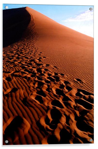 Footsteps in the Sand, Dune 45, Sossusvlei, Namibi Acrylic by Serena Bowles