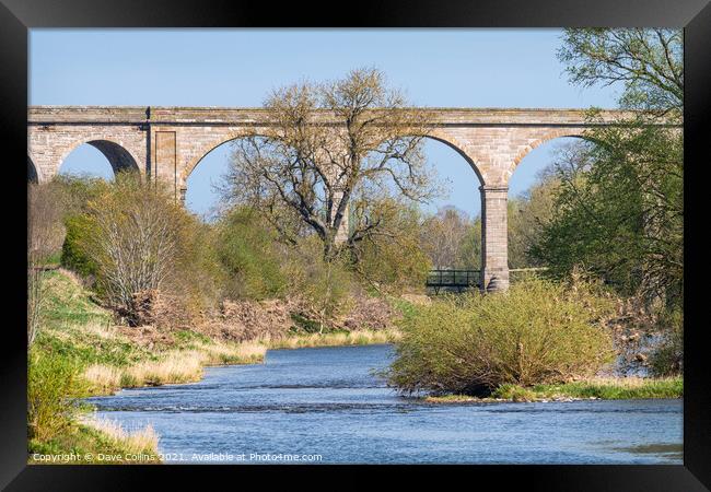 Roxburgh Viaduct, Teviot River, Scotland Framed Print by Dave Collins