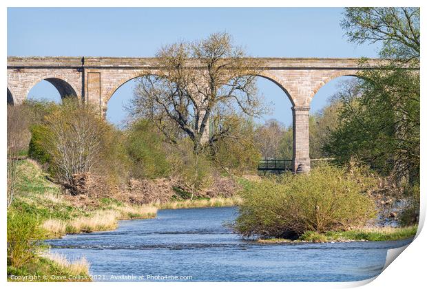 Roxburgh Viaduct, Teviot River, Scotland Print by Dave Collins