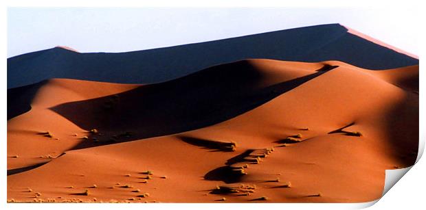 Sand Dunes at Sunset, Sossusvlei, Namibia, Africa Print by Serena Bowles